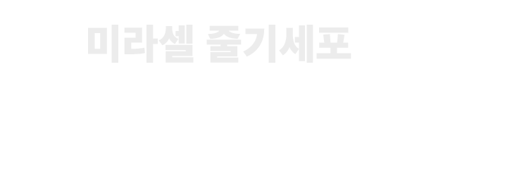 미라셀 소개